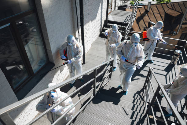 Best Mold Removal for HVAC Installations  in Red Wing, MN