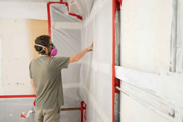 Best Biohazard Mold Removal  in Red Wing, MN