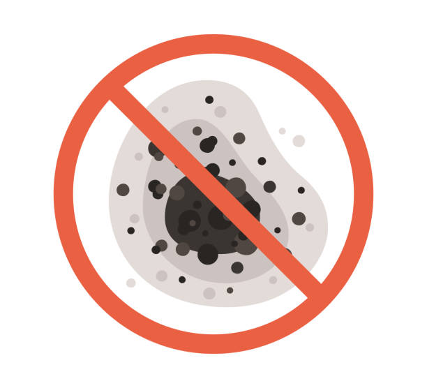 Best Comprehensive Air Testing for Mold Contaminants  in Red Wing, MN
