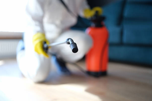 Best Real Estate Mold Inspection  in Red Wing, MN