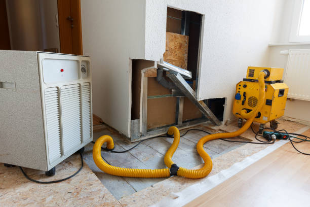Best Mold Damage Restoration  in Red Wing, MN