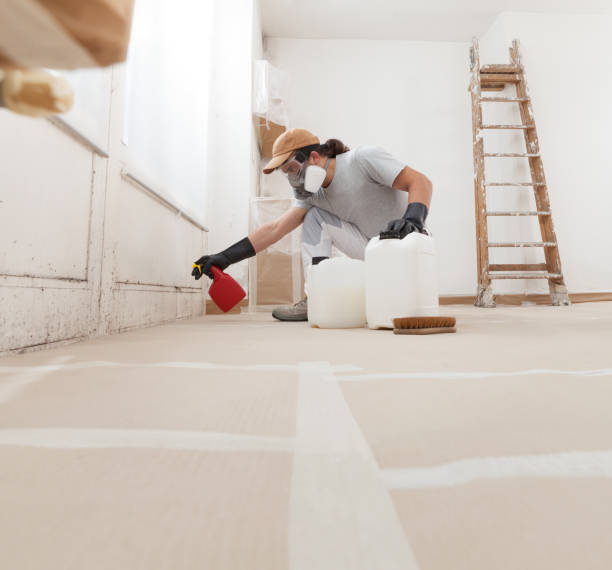 Best Indoor Air Quality Assessment  in Red Wing, MN